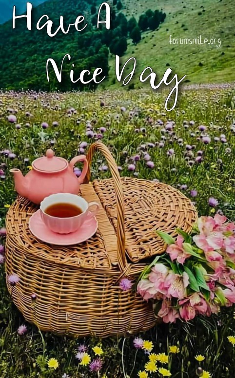 Picnic in the chamomile field, have a nice day!