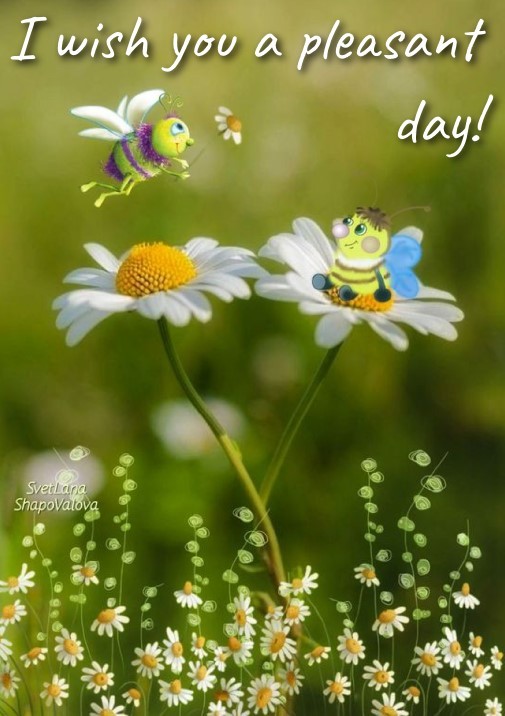 I wish you a pleasant day!