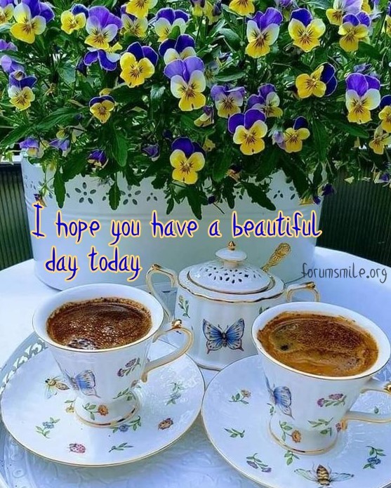 I hope you have a beatiful day today