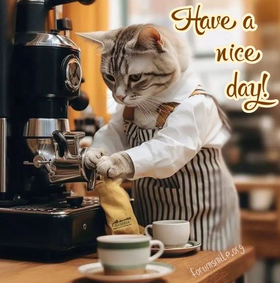 Barista Cat