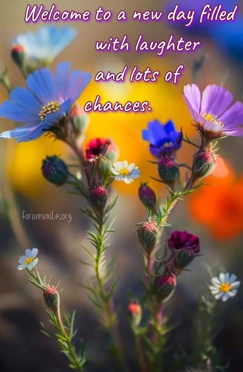 Good day image, welcome to a new day filled with laughter and lots of chances