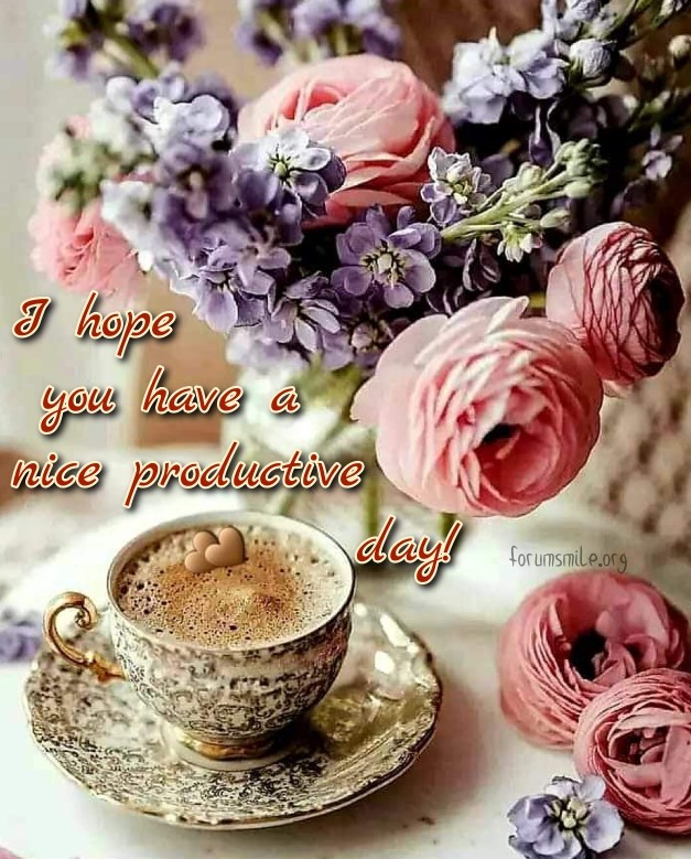 Good Day Iamge, I hope you have a nice productive day!