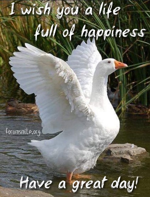 Have a great day, I wish you a life full of happiness