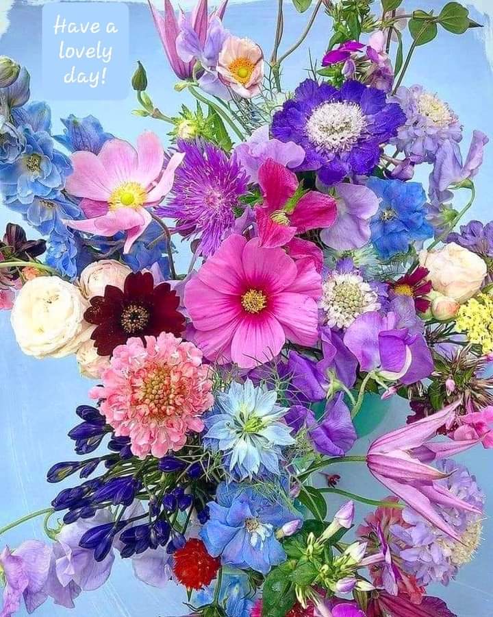 Image with flowers, have a lovely day