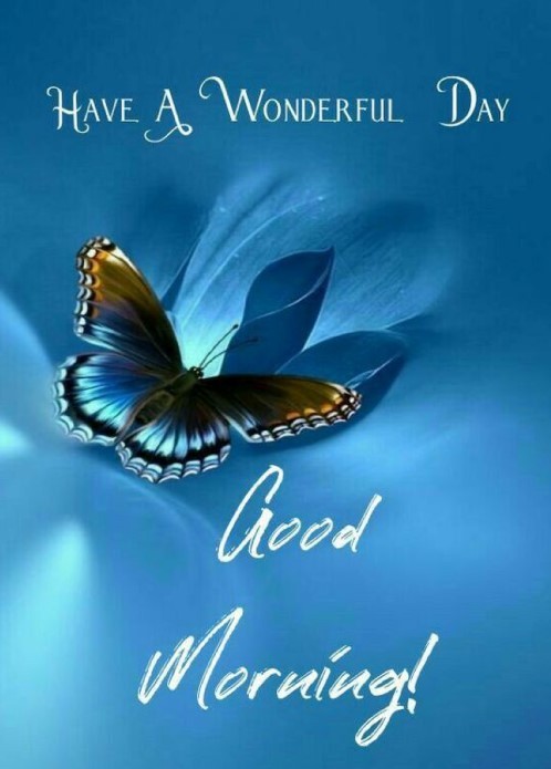 Good morning, have a wonderful day!