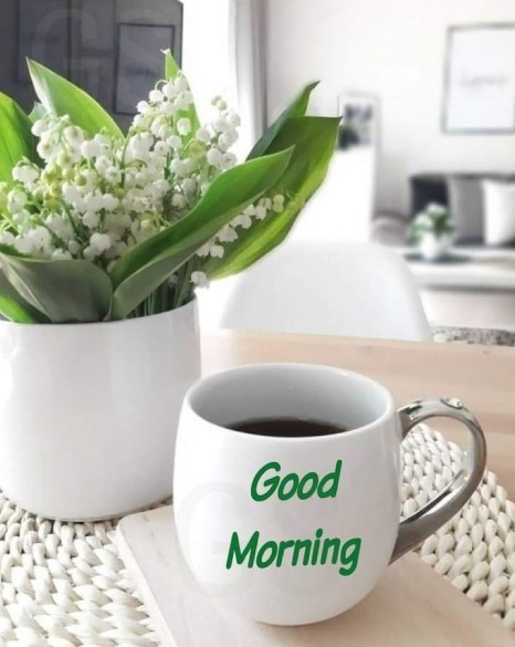 Today is definitely a beautiful morning.