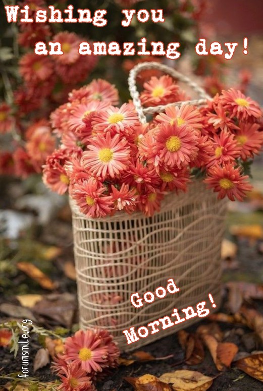 Good Morning, wishing you an amazing day!