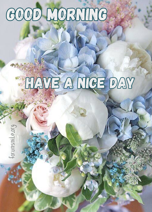 The morning begins with a beautiful bouquet of flowers