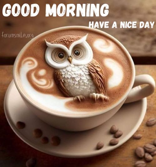 A cup of coffee will help you wake up completely