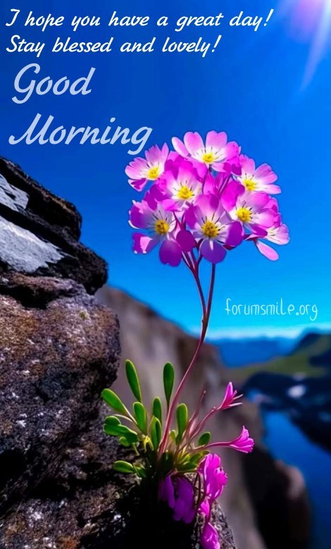 Good morning image, I hope you have a great day!