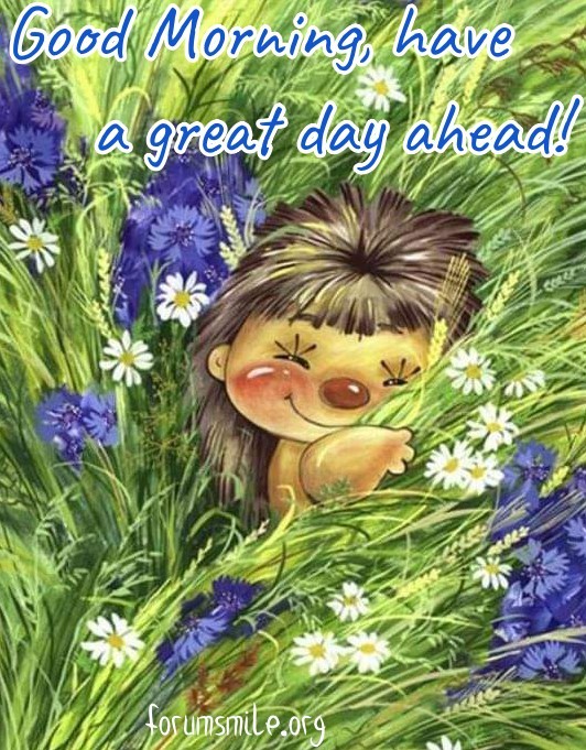 Good morning pciture, have a great day ahead!