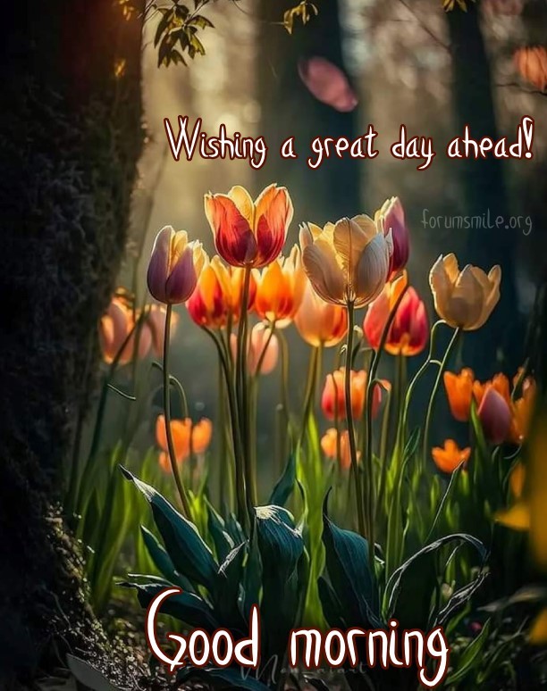 Good morning, wishing you a great day ahead