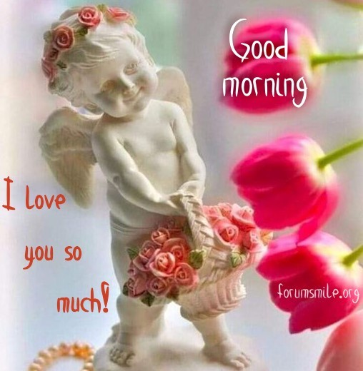 Good morning image, I love you so much!