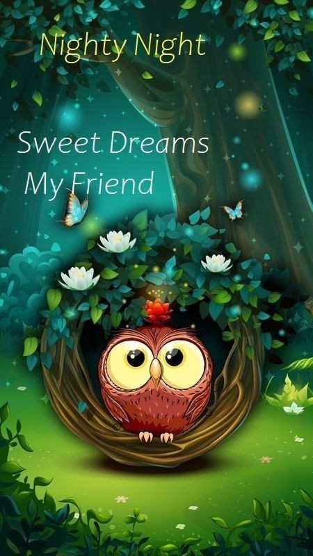 A picture with an owl and a wish for a good night