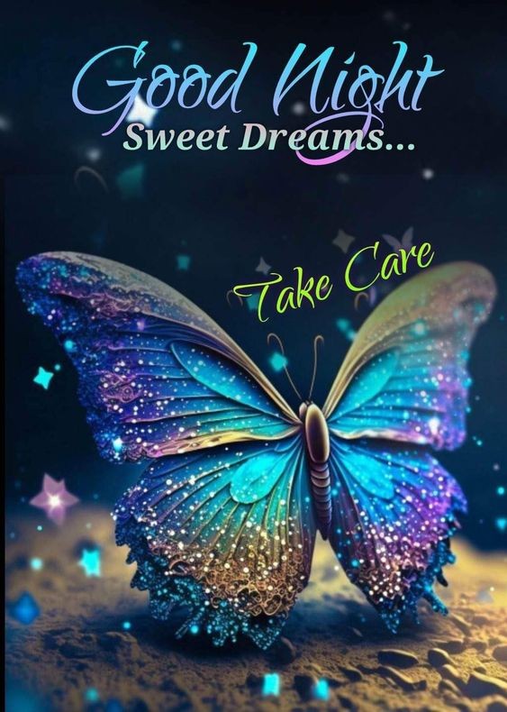 Picture with a beautiful butterfly. It
